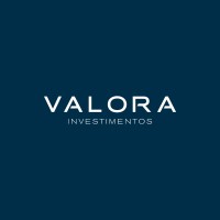 Valora Gestão de Investimentos - VGI Logo