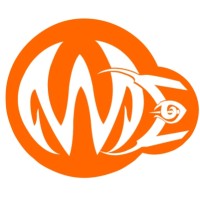 Wickedeye Entertainment Private Limited Logo