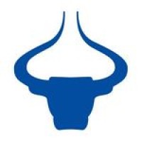 BFC Forex & Financial Services Pvt Ltd. Logo