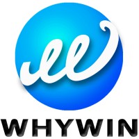 安徽华文国际经贸股份有限公司 Logo