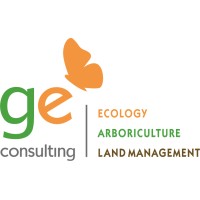 GE Consulting Logo