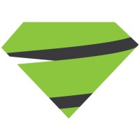 Viribus Logo