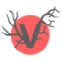 VASSI MEDIA BY DESIGN Logo