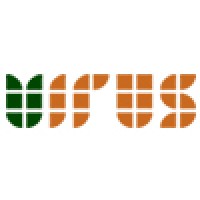 Virus & Partners Asiapacific Logo