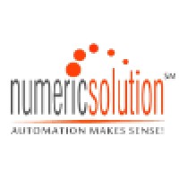 Numeric Solution Ltd. Logo