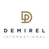 Demirel International Logo