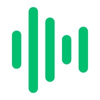 Team Visible Logo