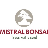 MISTRAL BONSAI SL Logo
