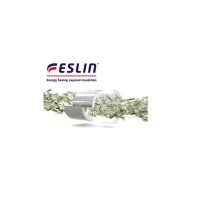 ESLIN by Visionary Industrial Insulation Logo