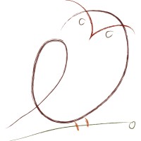 Sage Strategies-Colorado Logo