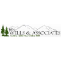 Ben Wells & Associates Logo