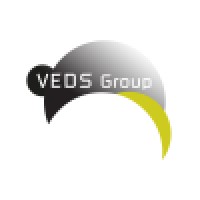 VEDS Group Logo