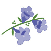 Jacaranda Living Logo