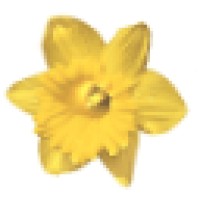 Holidays 4U Logo