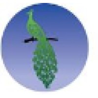 Gemini Corporation NV Logo