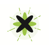 Firefly Consulting and Solutions Logo