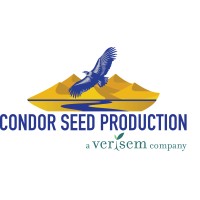 Condor Seed Production Inc. Logo
