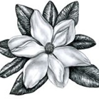 Piedmont Cotillions, LLC Logo