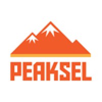 Peaksel Logo