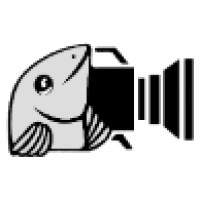 Professional Video Logo