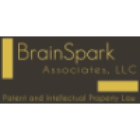 BrainSpark Associates, LLC Logo