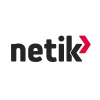 Netik Maroc - AlizNet Group Logo