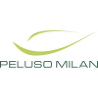 Peluso & Milan Engenharia Ltda Logo