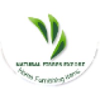Natural Fibres Export Logo