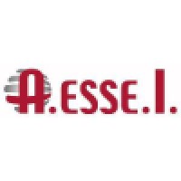 A.Esse.I. Srl Logo