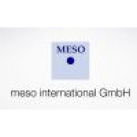 meso international GmbH Logo