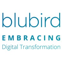 Blubird Logo