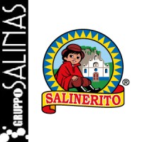 Corporación Gruppo Salinas Logo