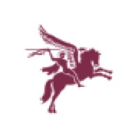 Pegasus Executive Search LTD Logo