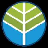 Intentional Accounting Logo