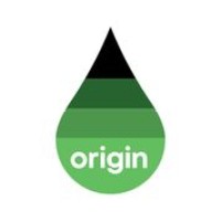 Origin International Logo