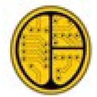 Digital Brain Zone Logo