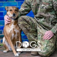 Dogs on Deployment Logo