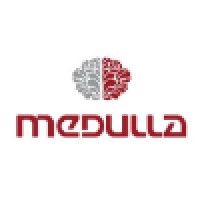 Medulla Productions & Consulting LLC Logo