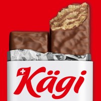 Kägi Söhne AG Logo