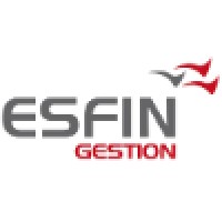 Esfin Gestion Logo