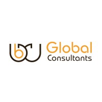 BigWig Global Consultants Logo