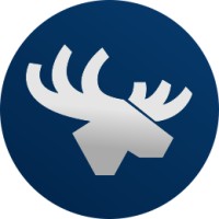 Baan Automotive Logo