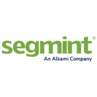 Segmint Logo