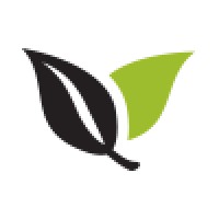 Vineyard Church of Stafford / Sugar Land Logo