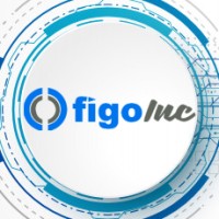 Figo Software Logo