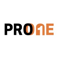 PRO ONE Networks Logo