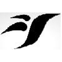 Fidelite Techno Advisory Private Limited Logo