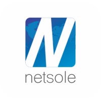 Netsole Logo
