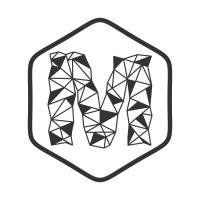 Minerva Pakistan Logo