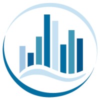 Data Solutions International Logo